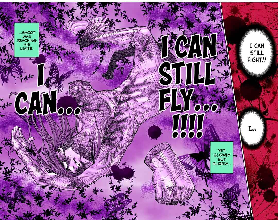 Page 13 Chapter 272 HUNTER x HUNTER (Official Colored)
