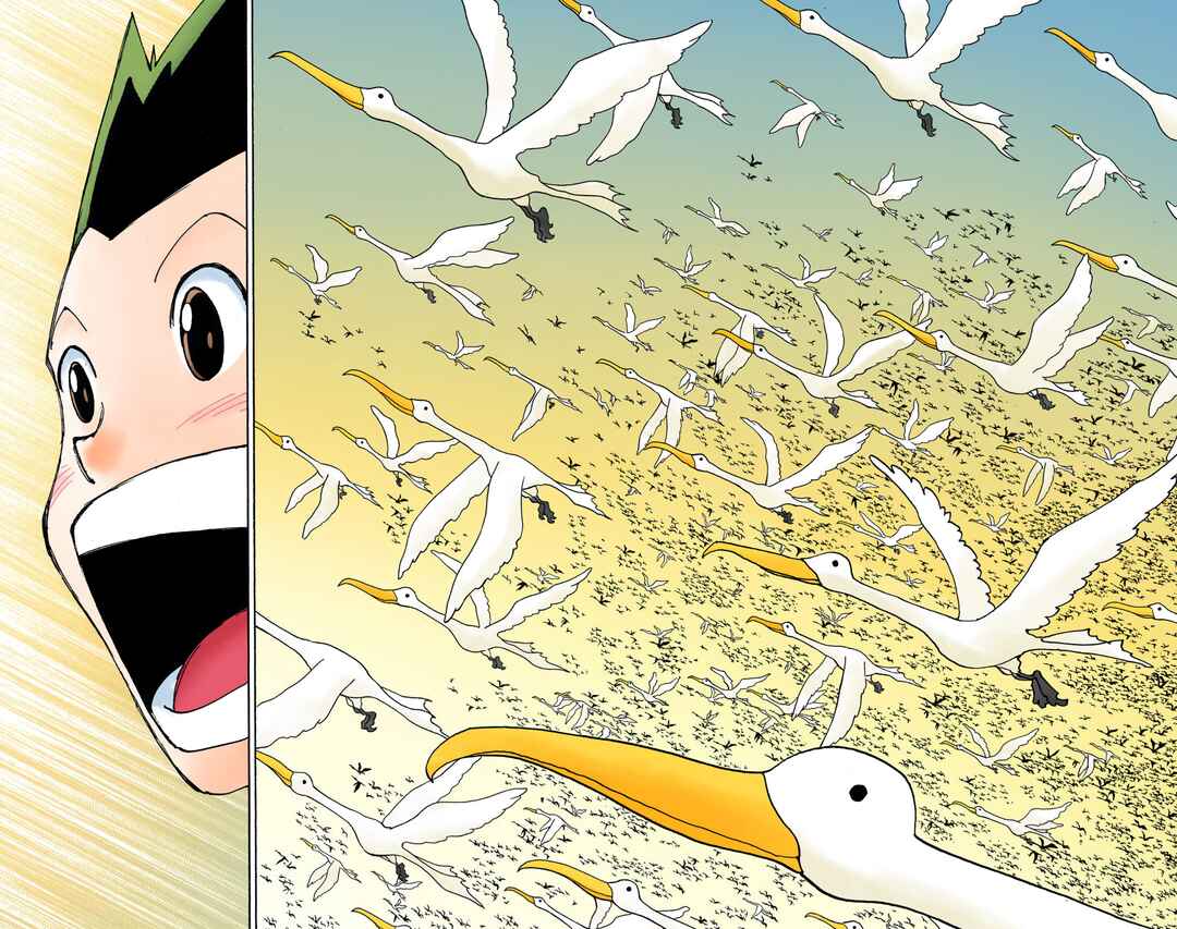 Page 8 Chapter 339 HUNTER x HUNTER (Official Colored)