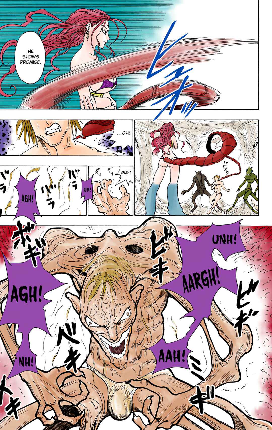 Page 15 Chapter 224 HUNTER x HUNTER (Official Colored)