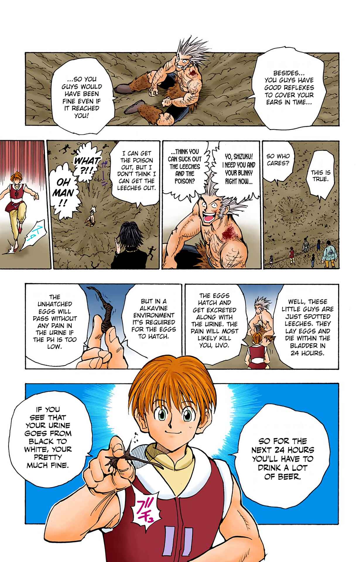 Page 17 Chapter 76 HUNTER x HUNTER (Official Colored)