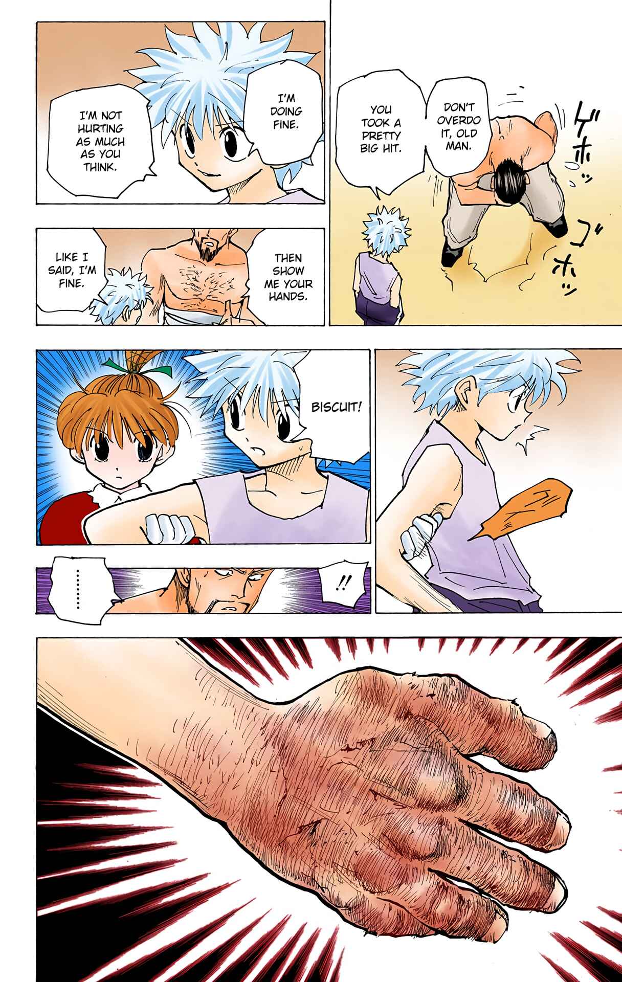 Page 8 Chapter 166 HUNTER x HUNTER (Official Colored)