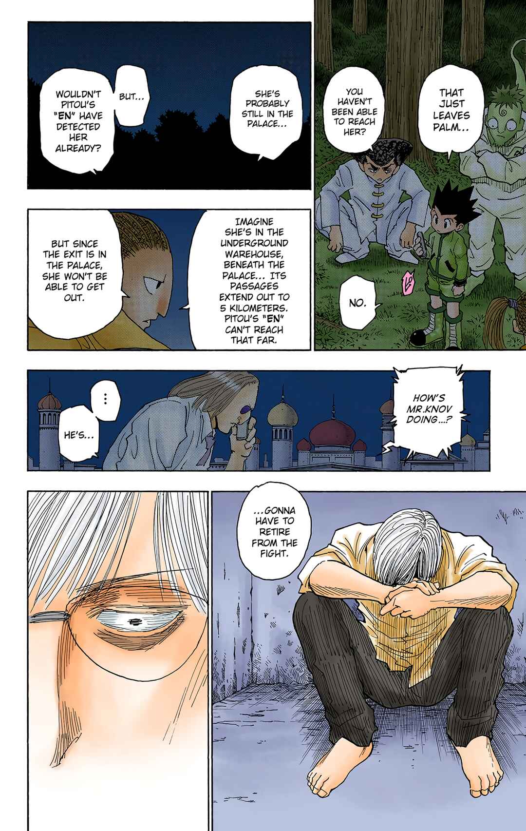 Page 13 Chapter 255 HUNTER x HUNTER (Official Colored)