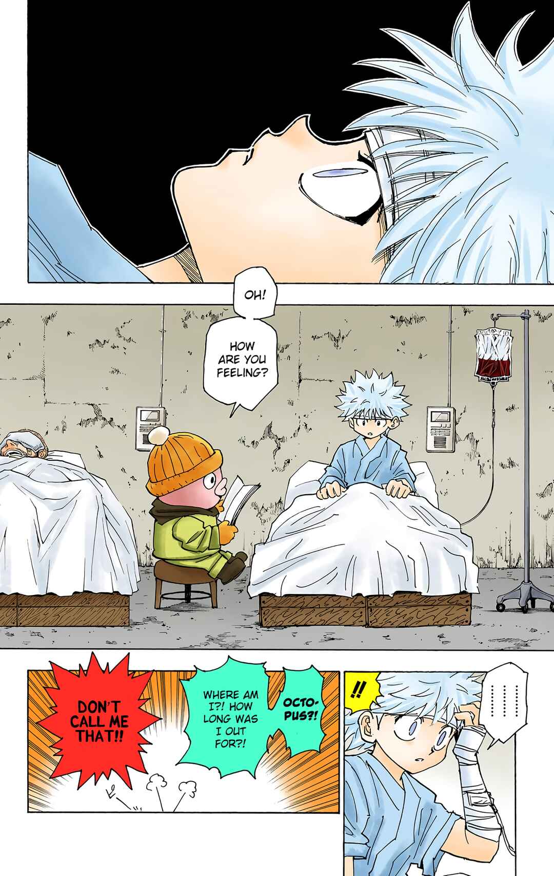 Page 3 Chapter 255 HUNTER x HUNTER (Official Colored)