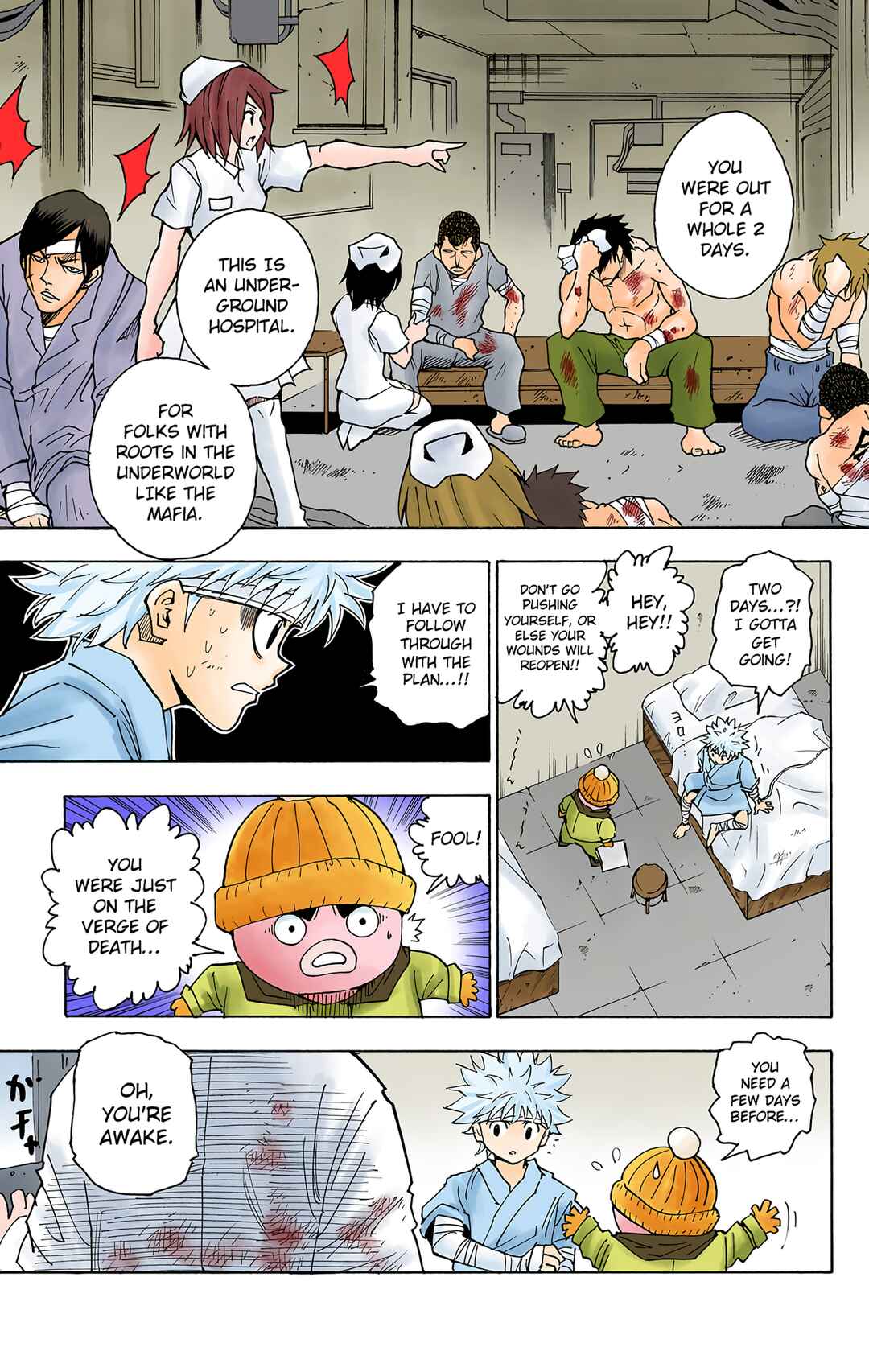Page 4 Chapter 255 HUNTER x HUNTER (Official Colored)