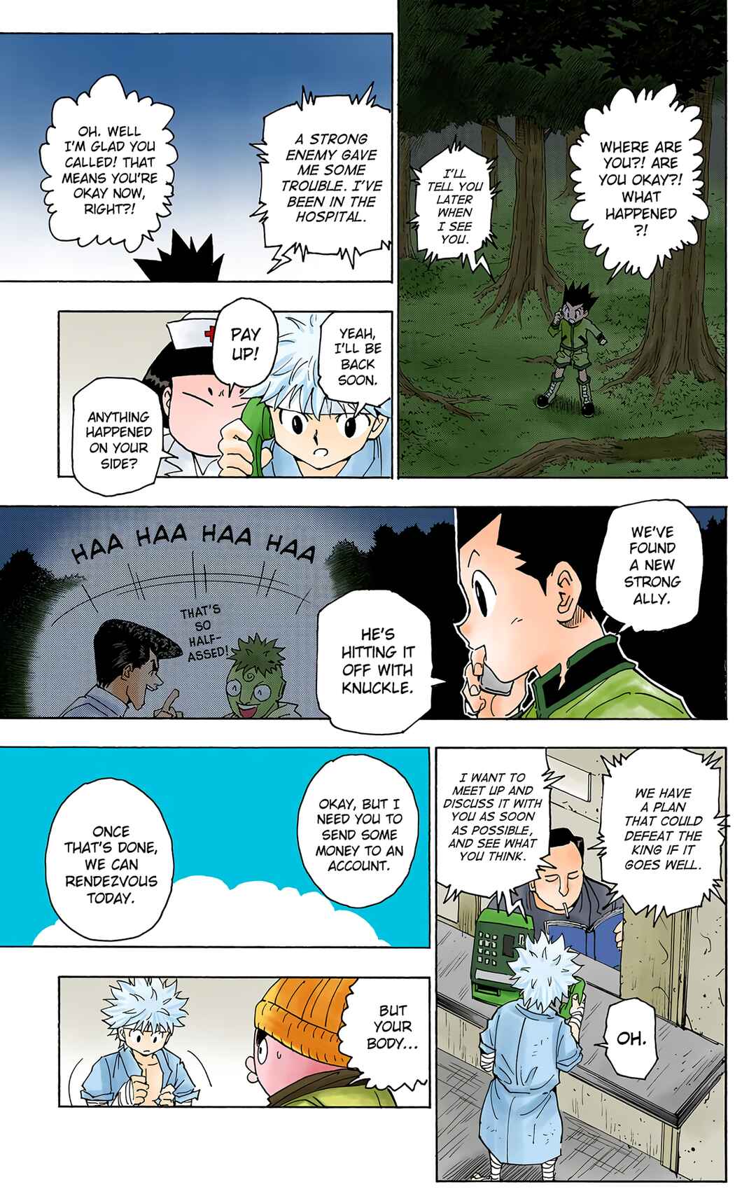 Page 6 Chapter 255 HUNTER x HUNTER (Official Colored)