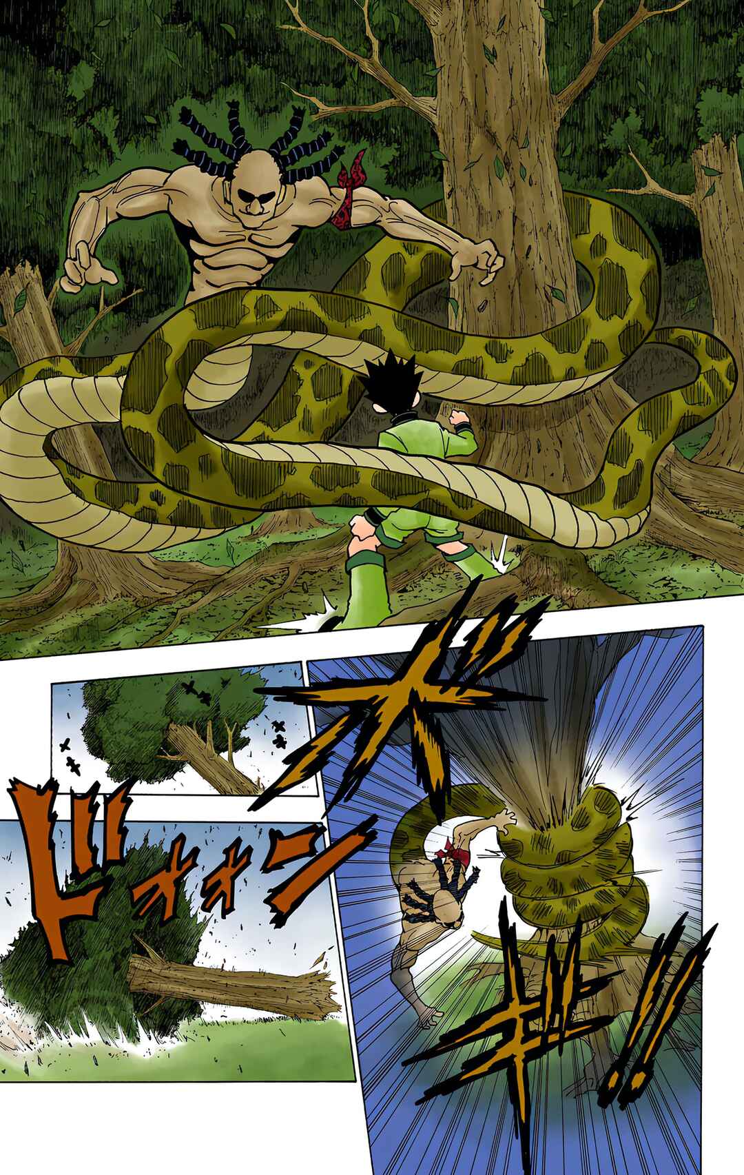 Page 9 Chapter 231 HUNTER x HUNTER (Official Colored)