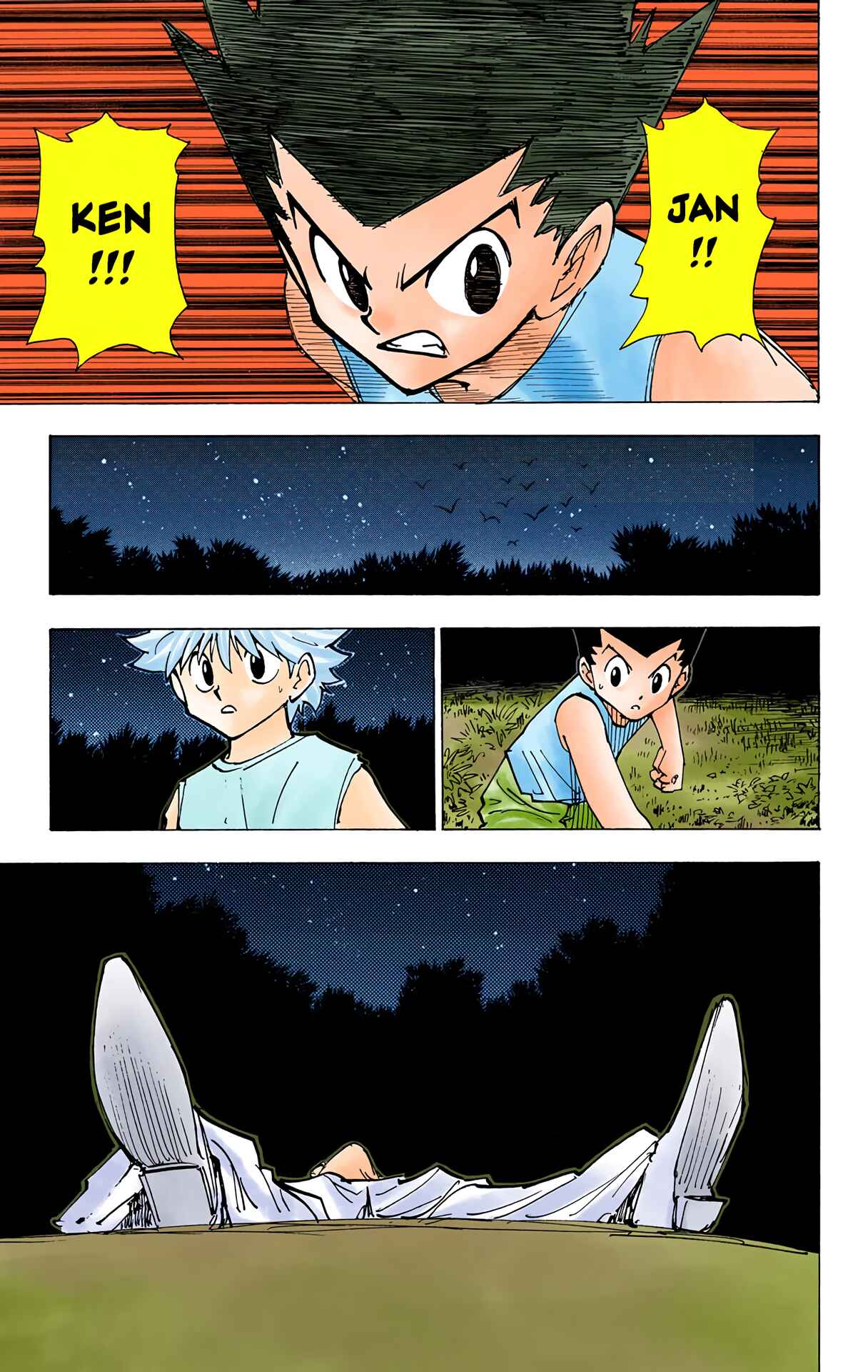Page 8 Chapter 203 HUNTER x HUNTER (Official Colored)