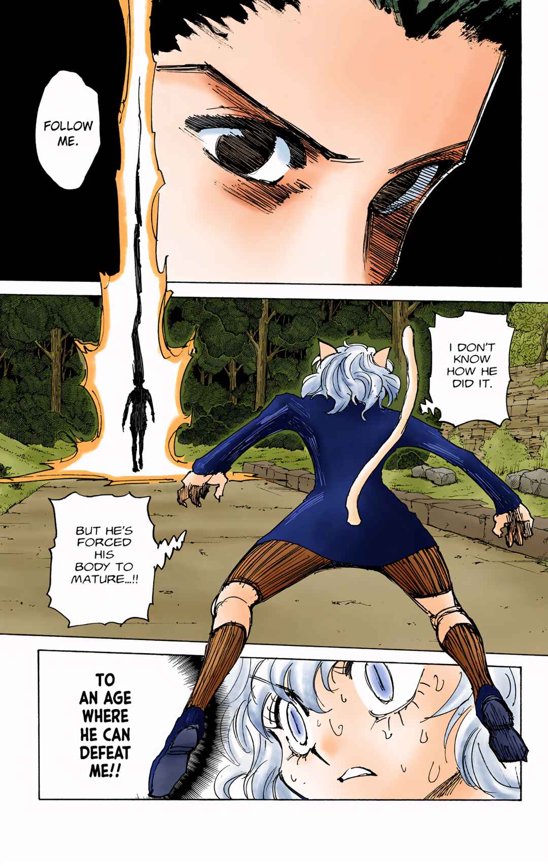 Page 6 Chapter 306 HUNTER x HUNTER (Official Colored)