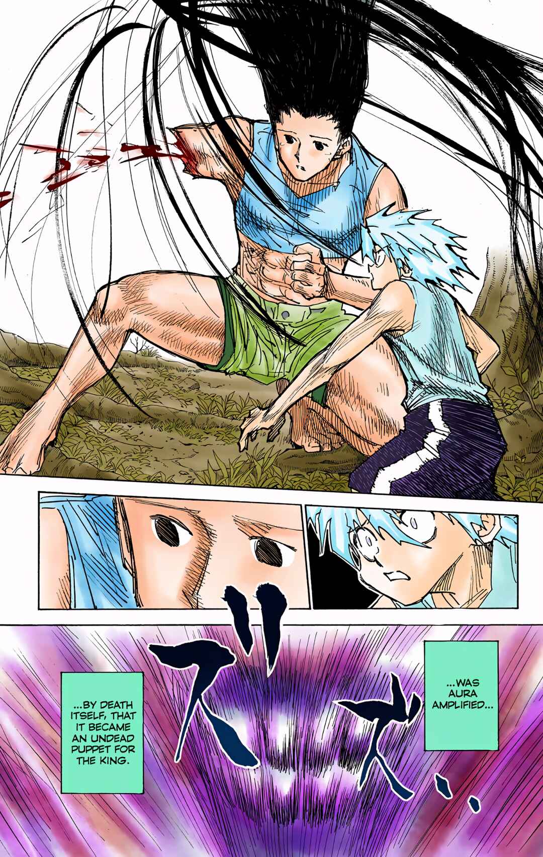 Page 9 Chapter 307 HUNTER x HUNTER (Official Colored)