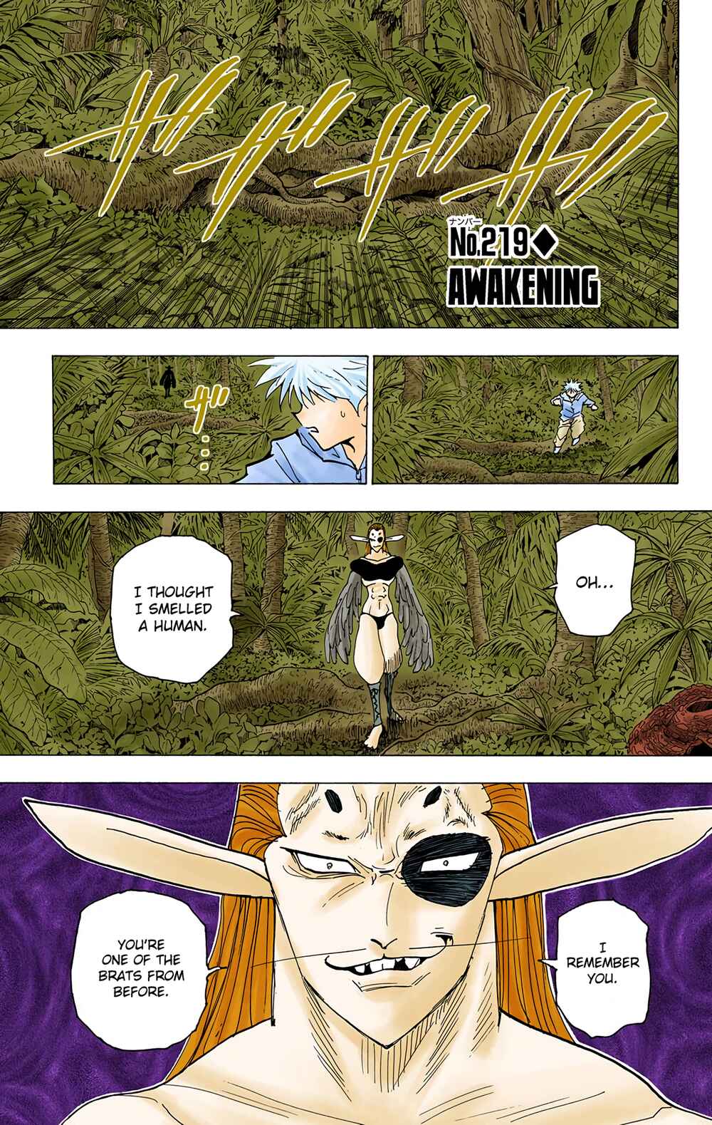 Page 1 Chapter 219 HUNTER x HUNTER (Official Colored)
