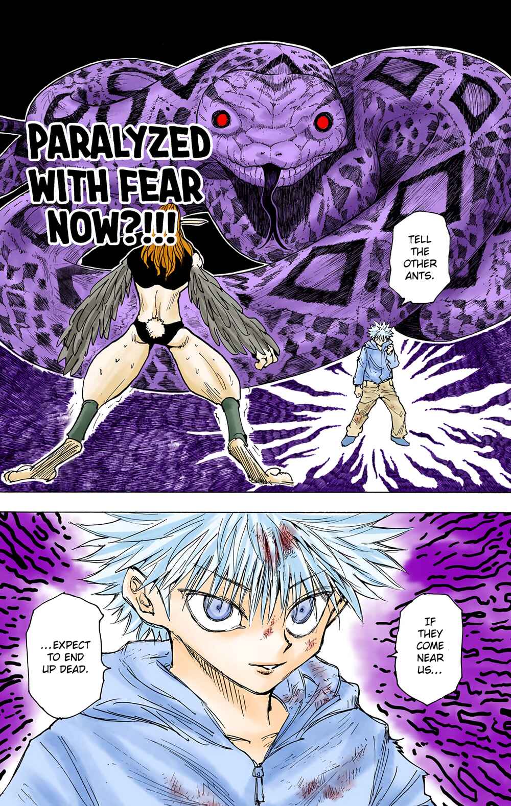 Page 13 Chapter 219 HUNTER x HUNTER (Official Colored)