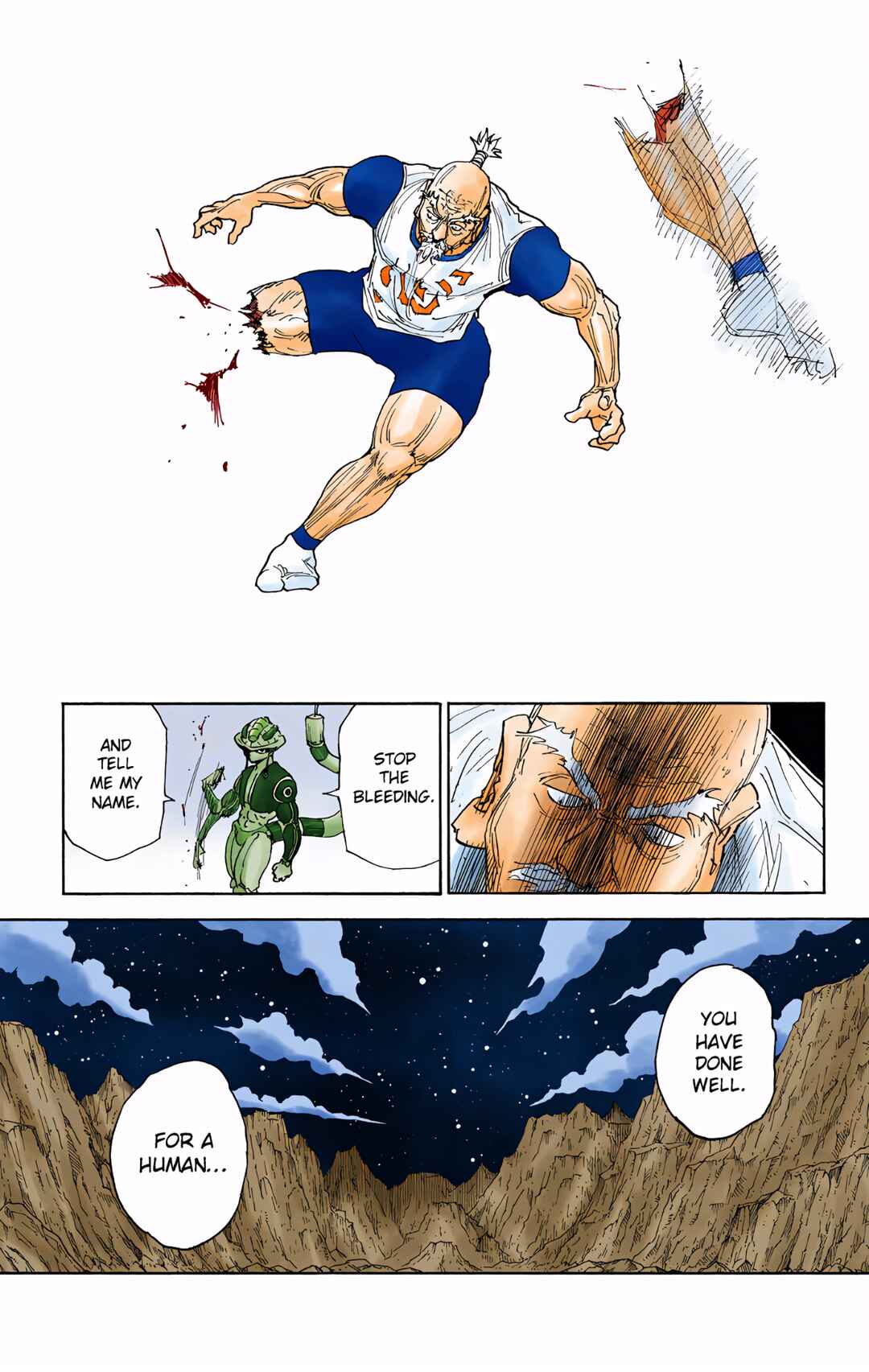 Page 19 Chapter 296 HUNTER x HUNTER (Official Colored)