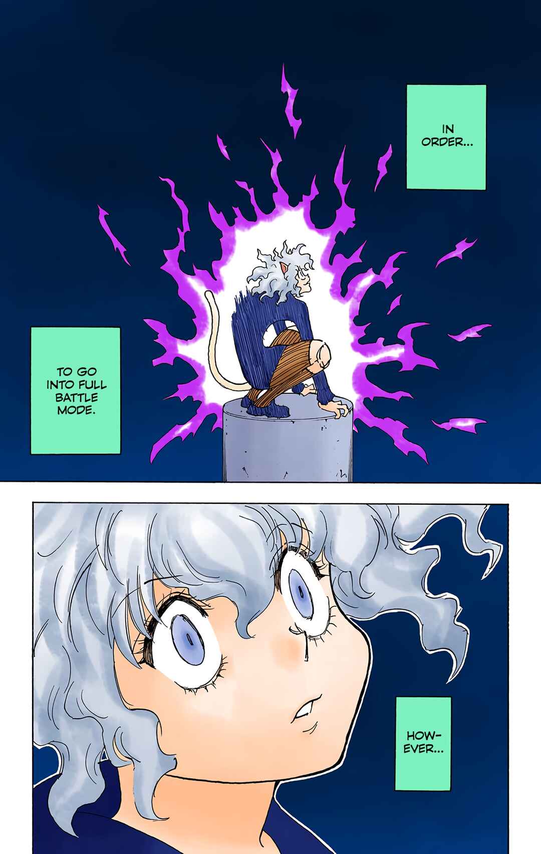 Page 14 Chapter 263 HUNTER x HUNTER (Official Colored)