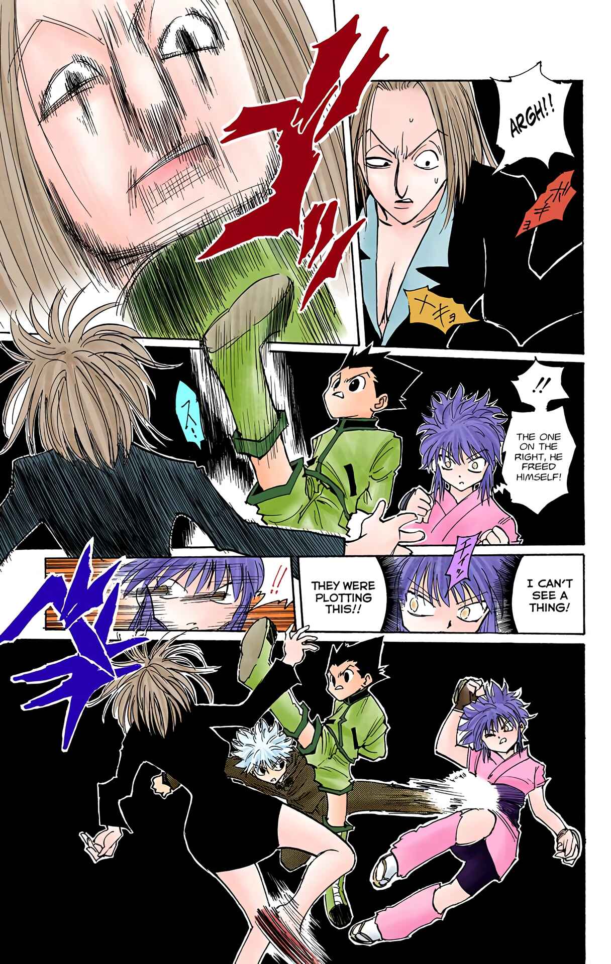Page 11 Chapter 113 HUNTER x HUNTER (Official Colored)