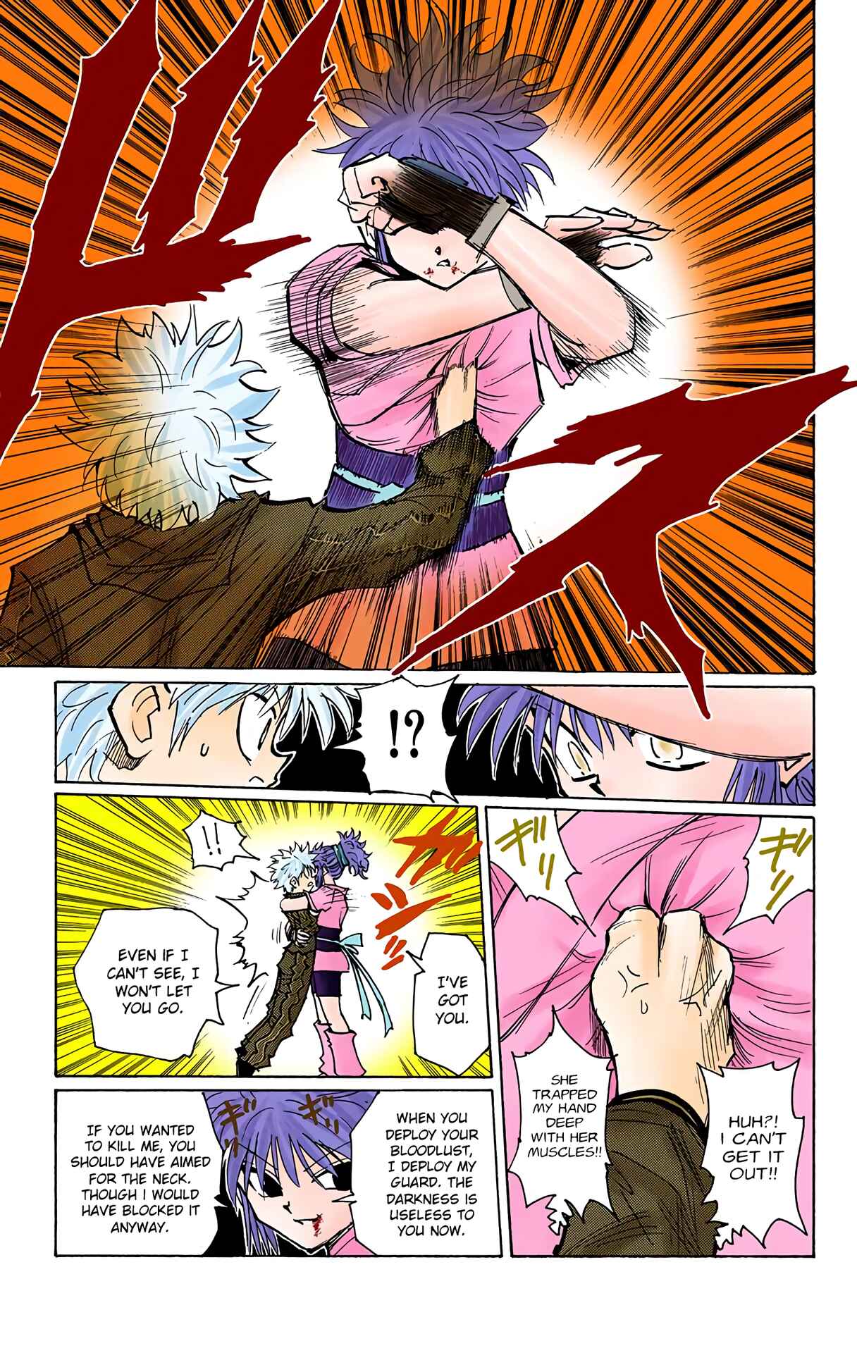Page 13 Chapter 113 HUNTER x HUNTER (Official Colored)
