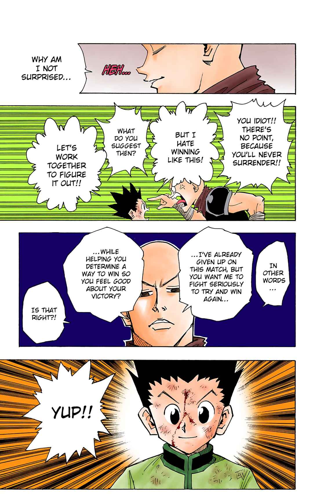 Page 17 Chapter 34 HUNTER x HUNTER (Official Colored)