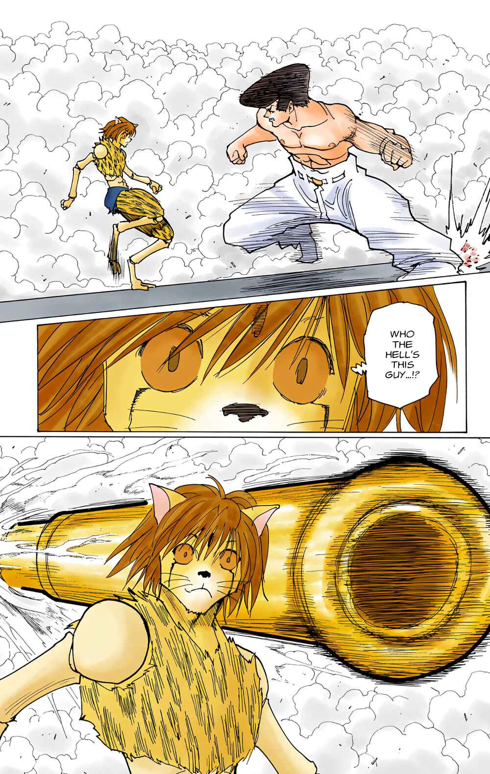 Page 13 Chapter 220 HUNTER x HUNTER (Official Colored)