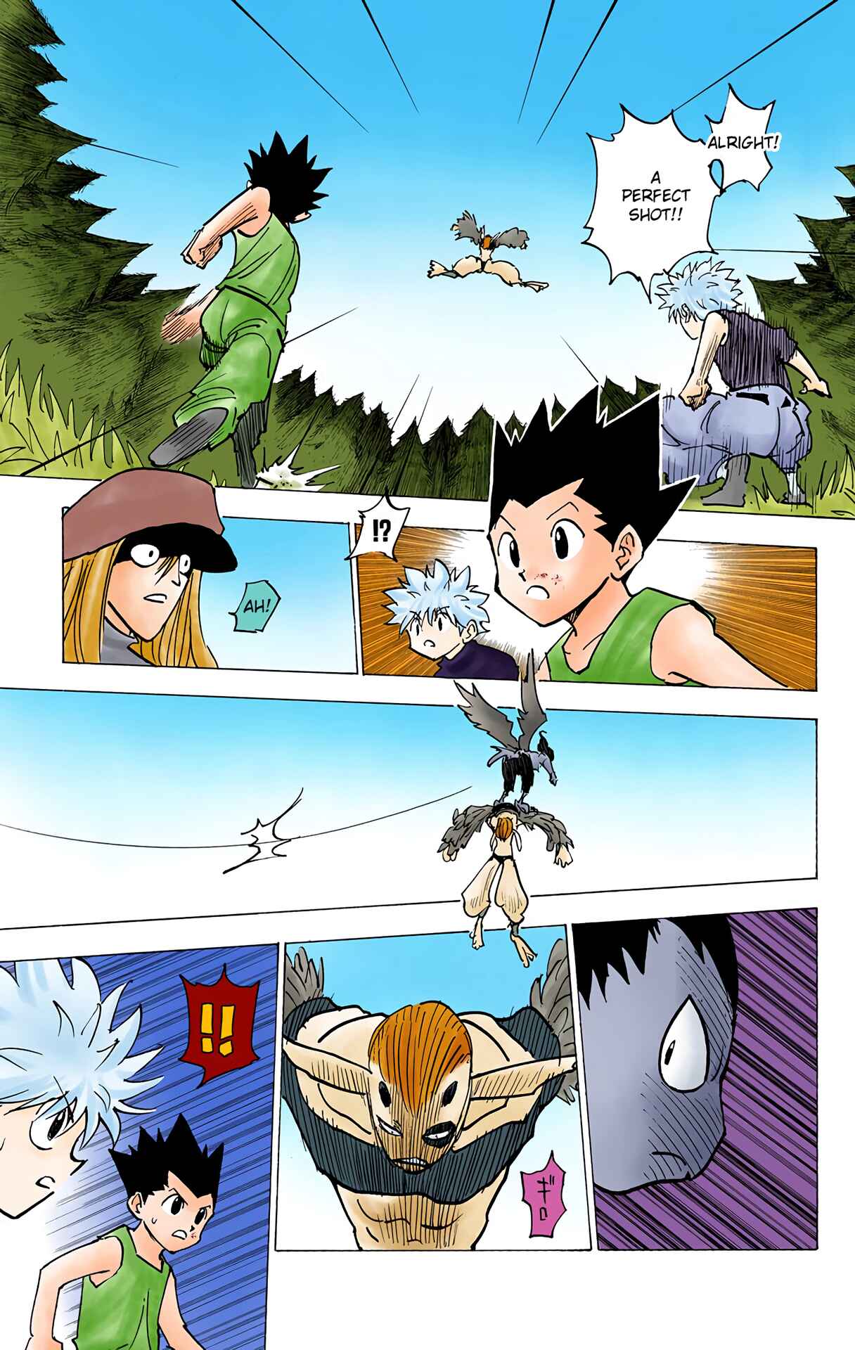 Page 13 Chapter 191 HUNTER x HUNTER (Official Colored)