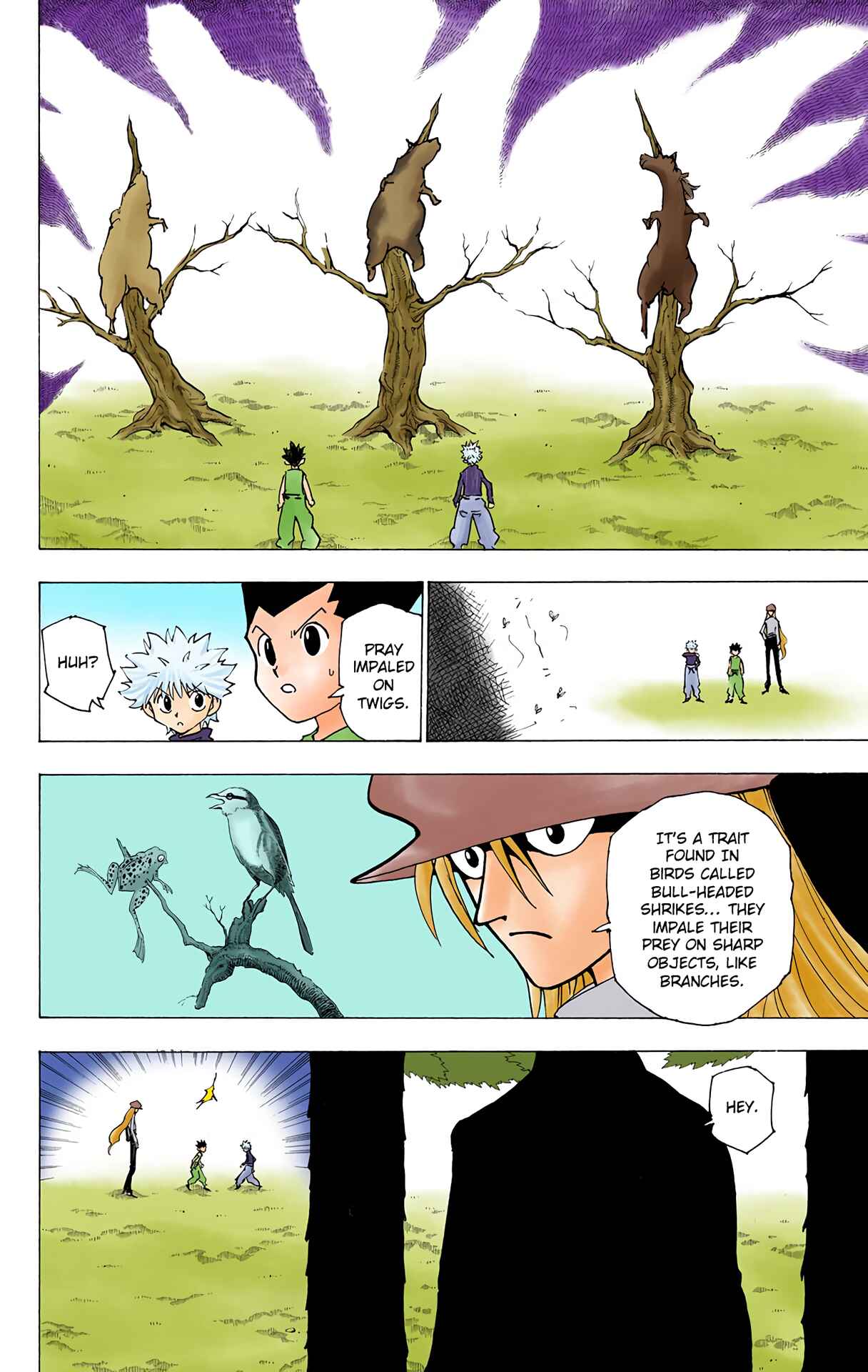 Page 2 Chapter 191 HUNTER x HUNTER (Official Colored)