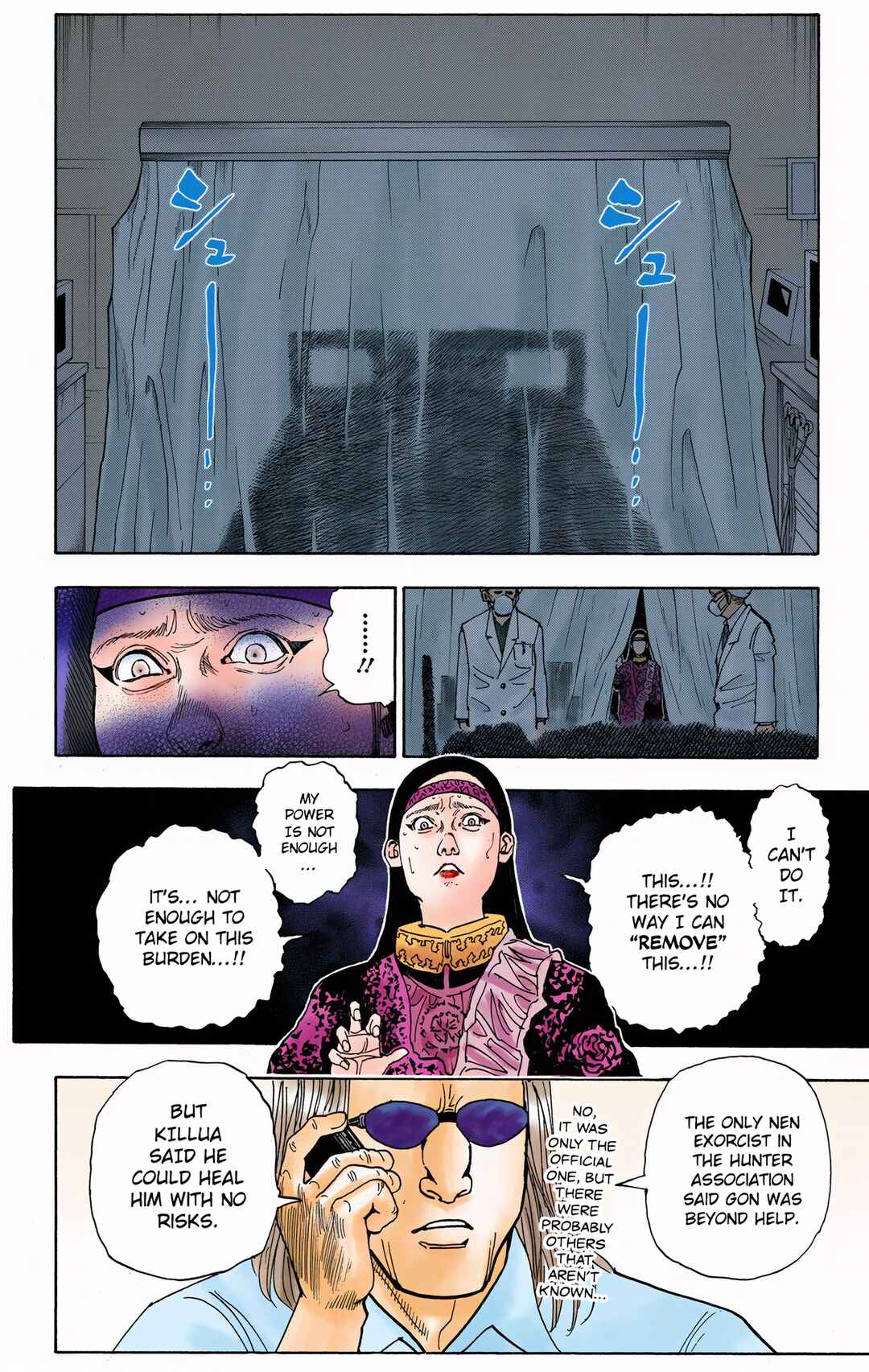 Page 8 Chapter 325 HUNTER x HUNTER (Official Colored)