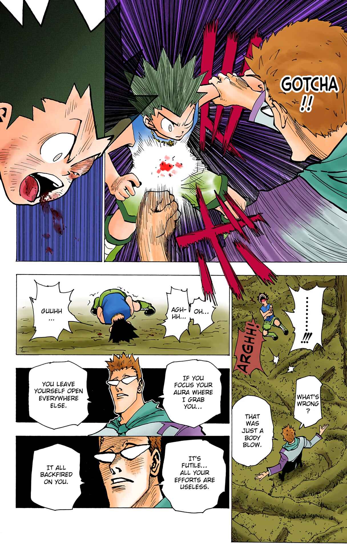 Page 6 Chapter 179 HUNTER x HUNTER (Official Colored)