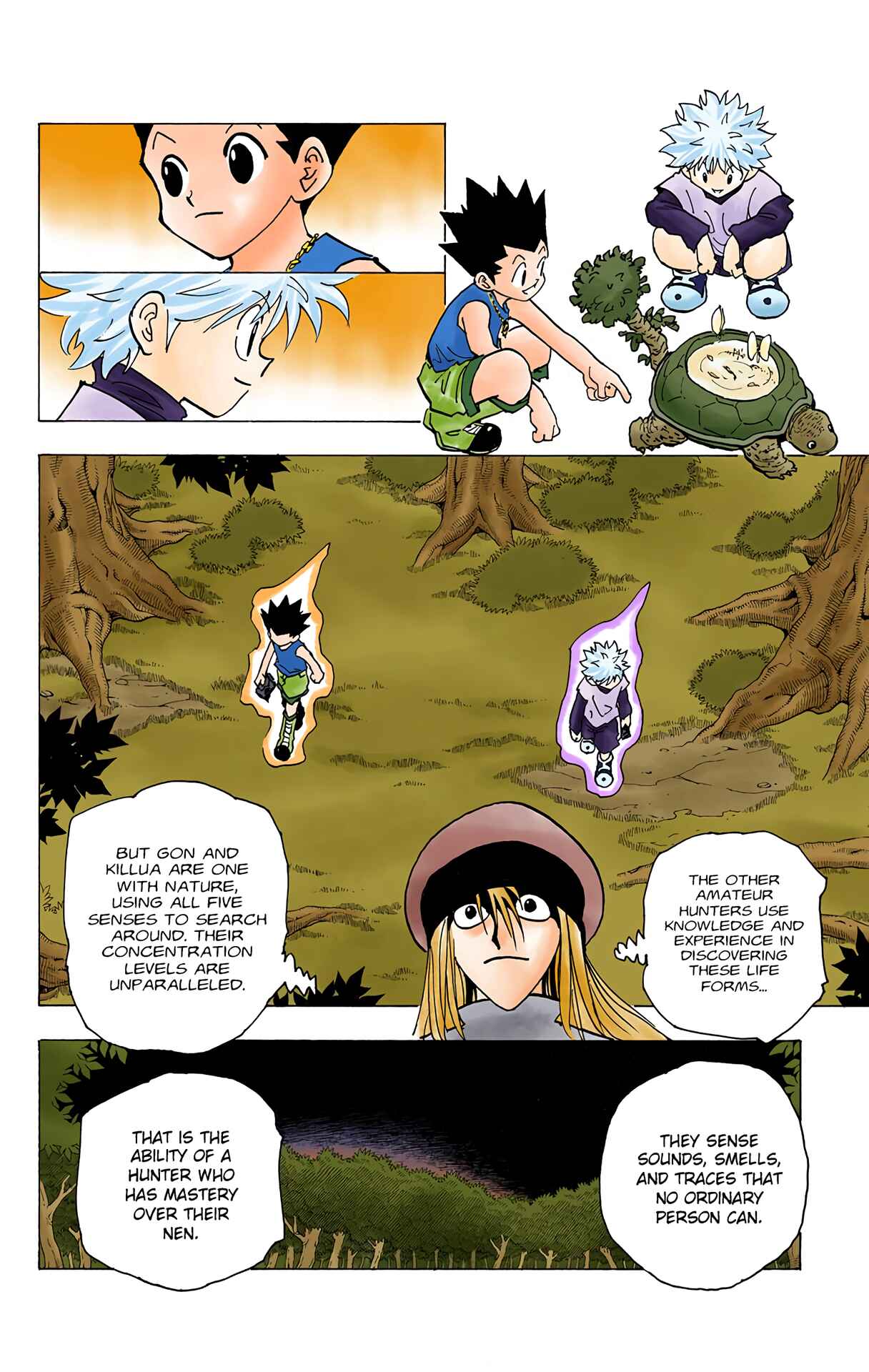 Page 12 Chapter 186 HUNTER x HUNTER (Official Colored)