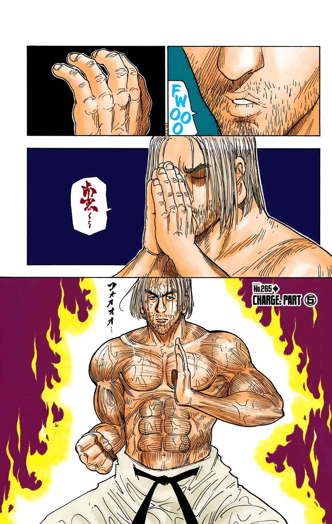 Page 1 Chapter 265 HUNTER x HUNTER (Official Colored)