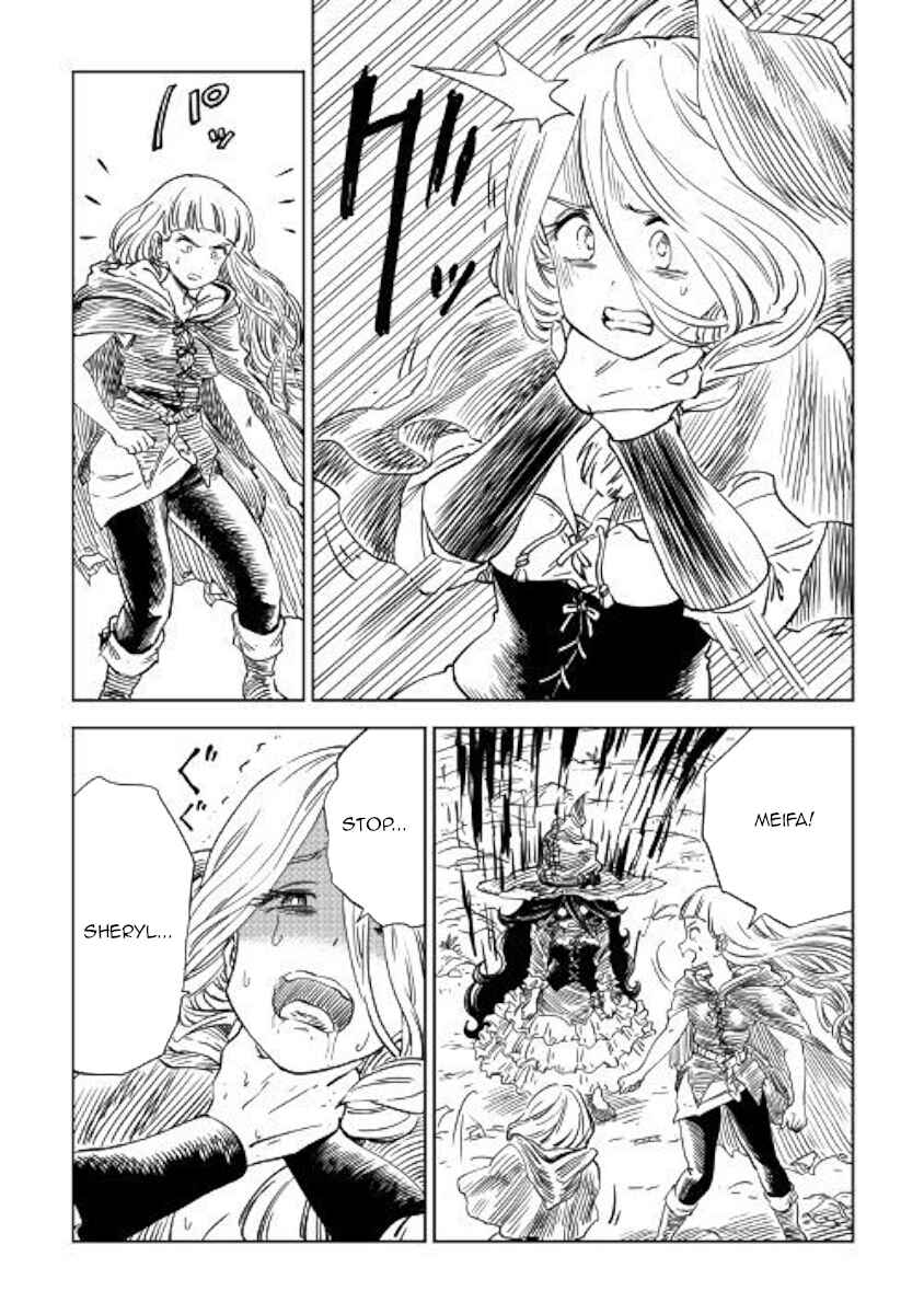 Page 13 Chapter 11 The Witchs Hammer - Malleus Maleficarum