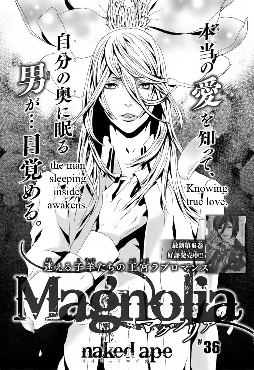 Page 3 Chapter 36 Magnolia