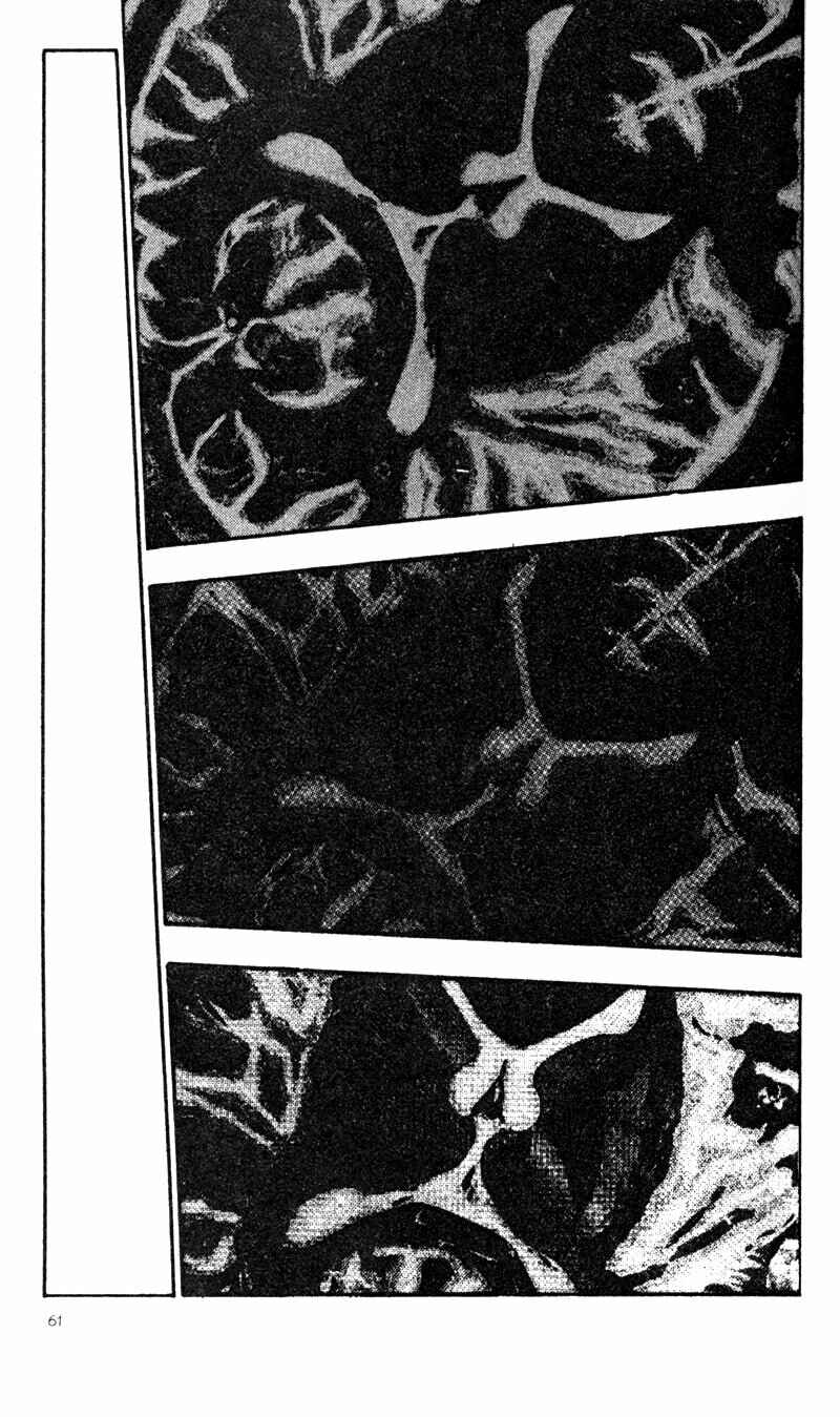 Page 13 Chapter 23 Shamo