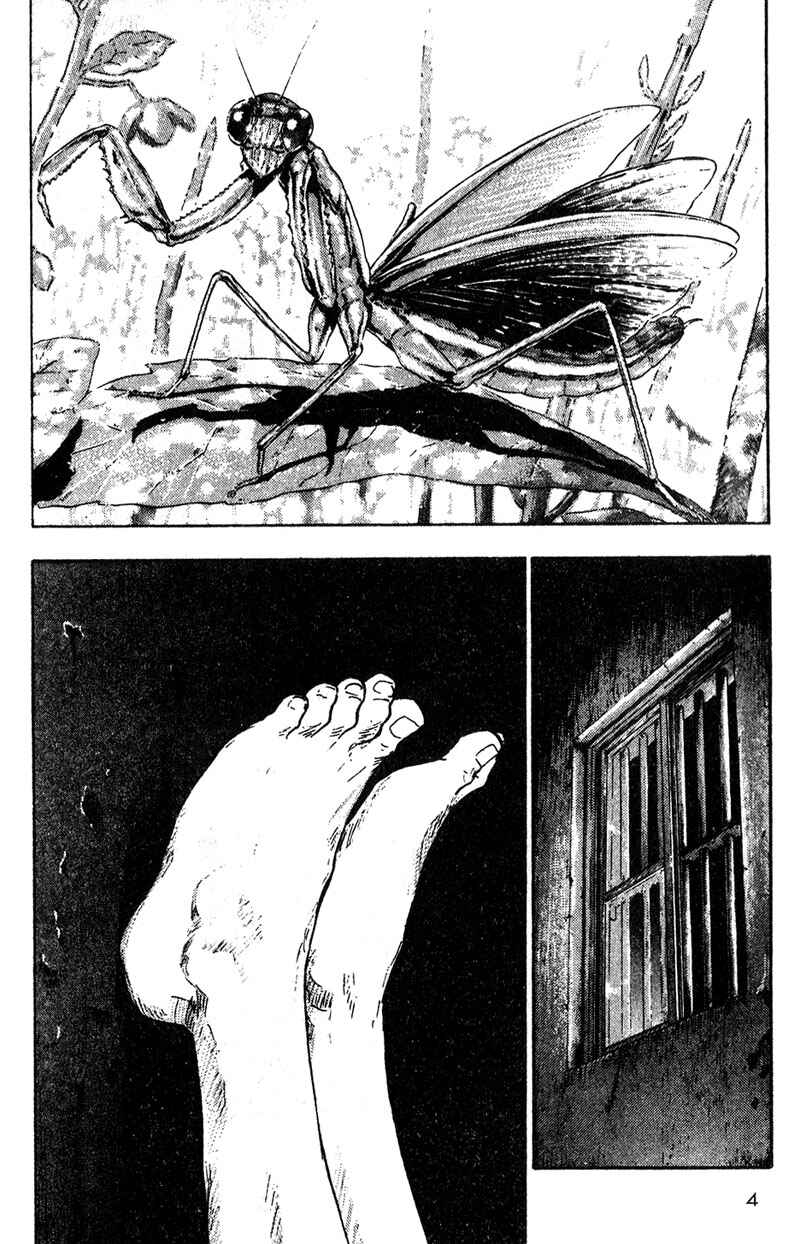 Page 5 Chapter 11 Shamo