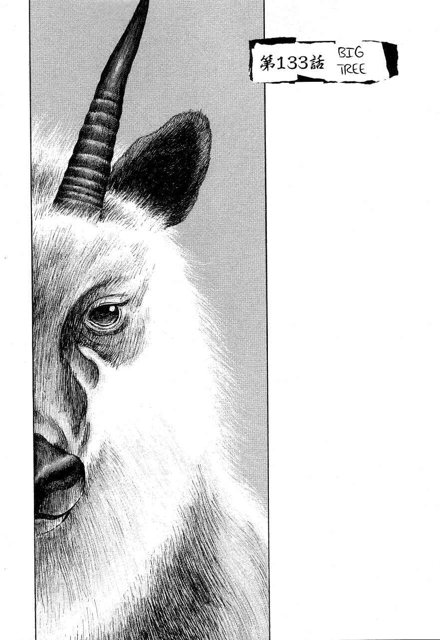 Page 14 Chapter 132 Shamo