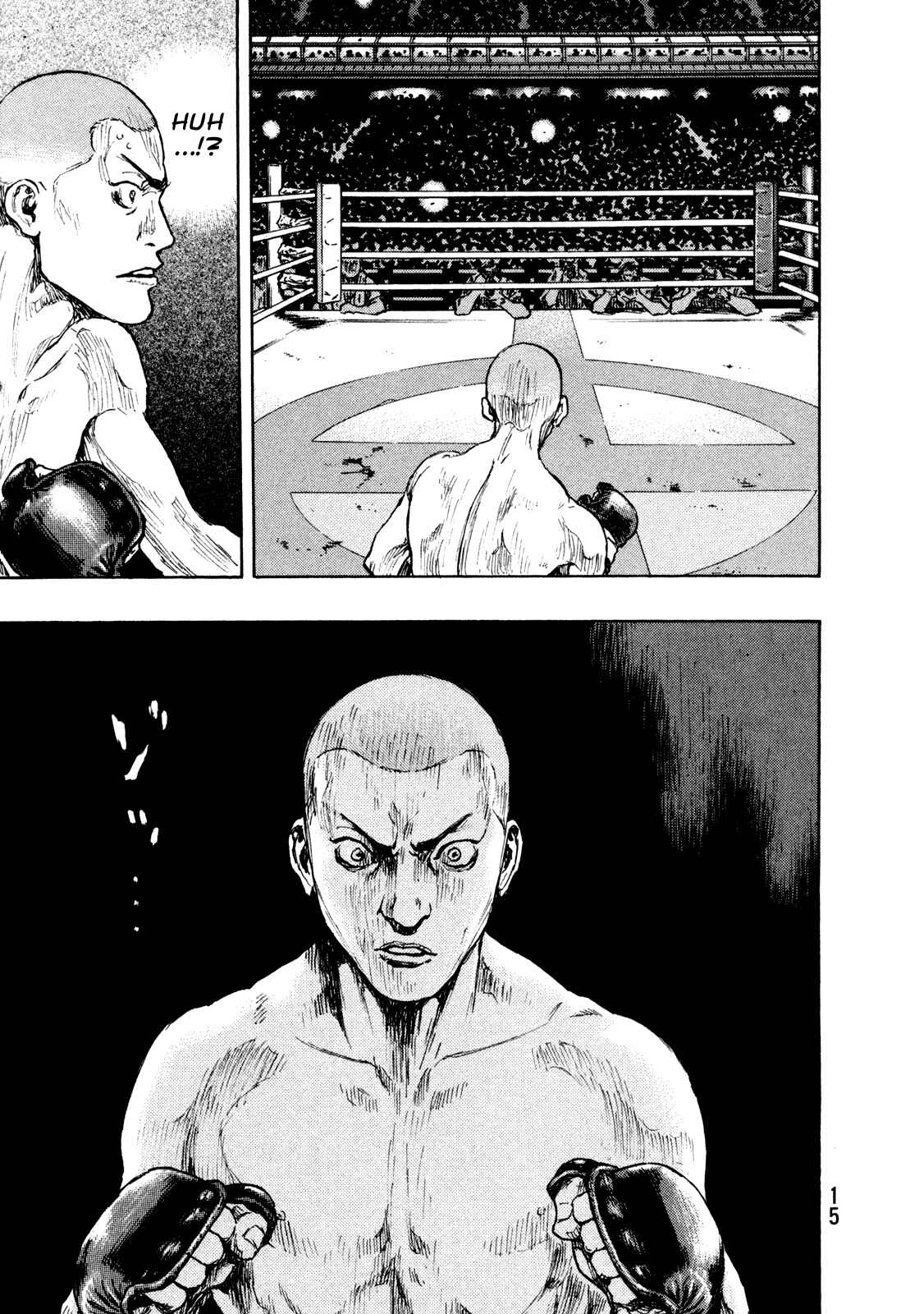 Page 15 Chapter 63 Shamo