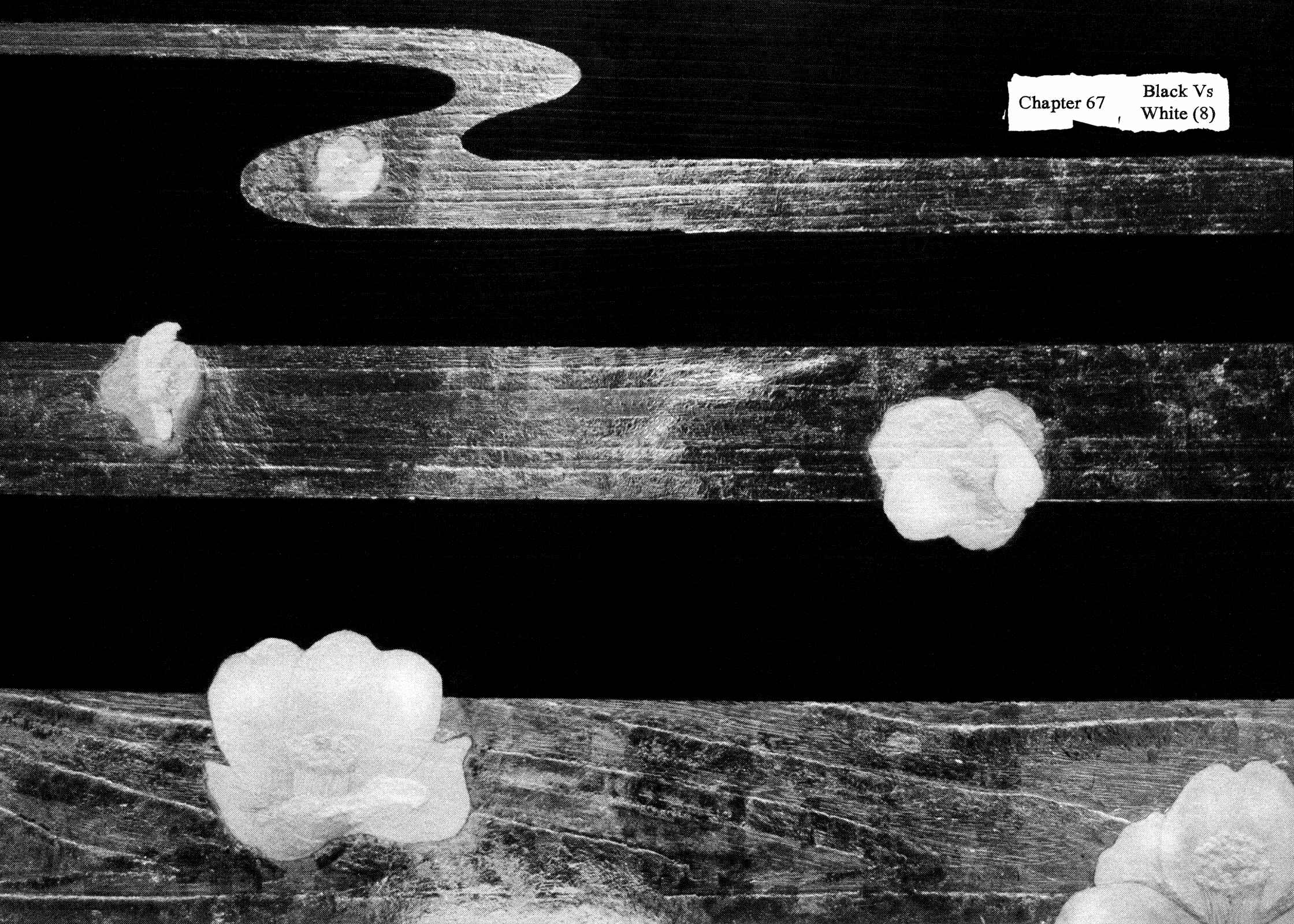 Page 2 Chapter 67 Shamo