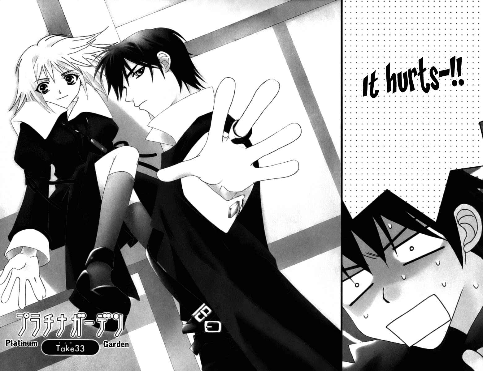 Page 5 Chapter 33 Platinum Garden