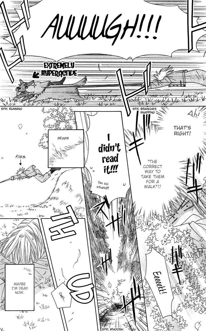 Page 26 Chapter 11 Platinum Garden