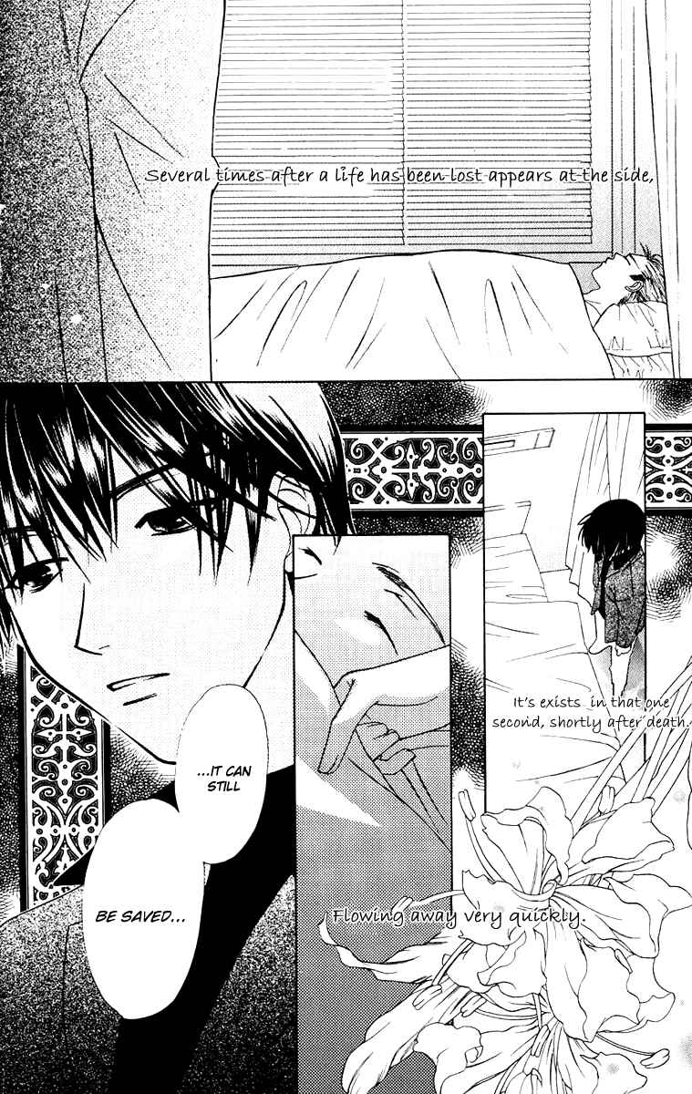 Page 32 Chapter 30 Platinum Garden