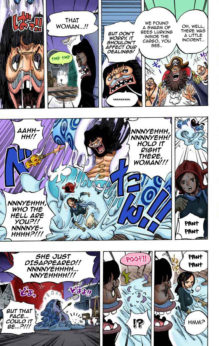 Page 17 Chapter 738 One Piece (Official Colored)
