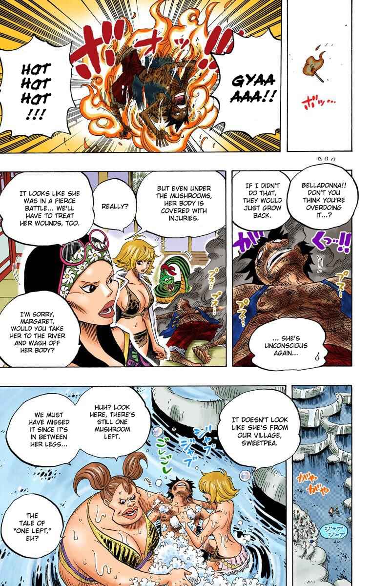 Page 17 Chapter 514 One Piece (Official Colored)
