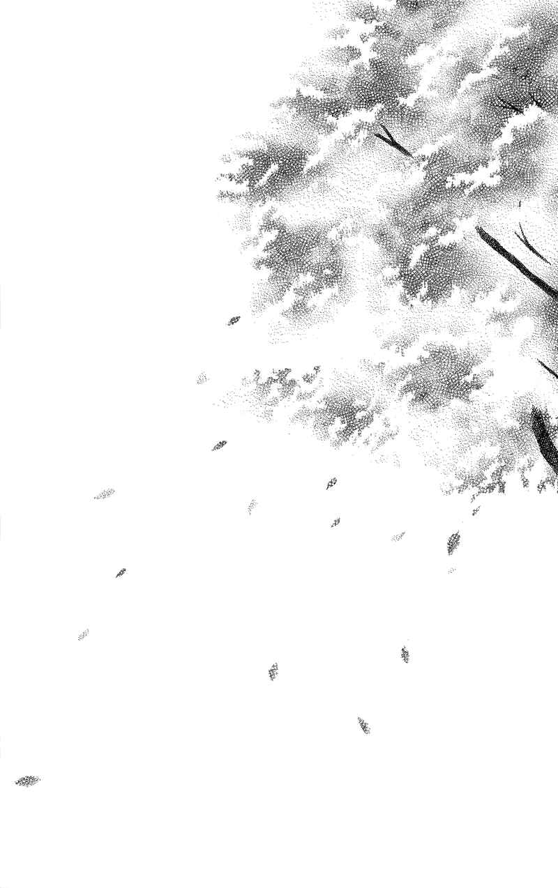 Page 2 Chapter 18 Ill Give You a Flower