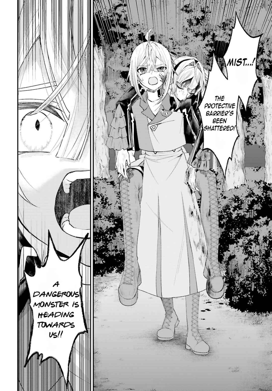 Page 23 Chapter 19 Akuyaku Kizoku to shite Hitsuyou na Sore