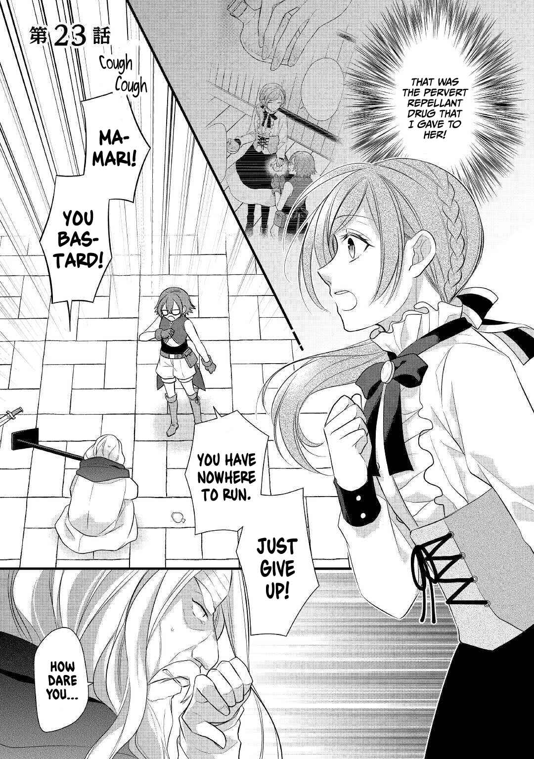 Page 2 Chapter 23 An E-Rank Apothecarist