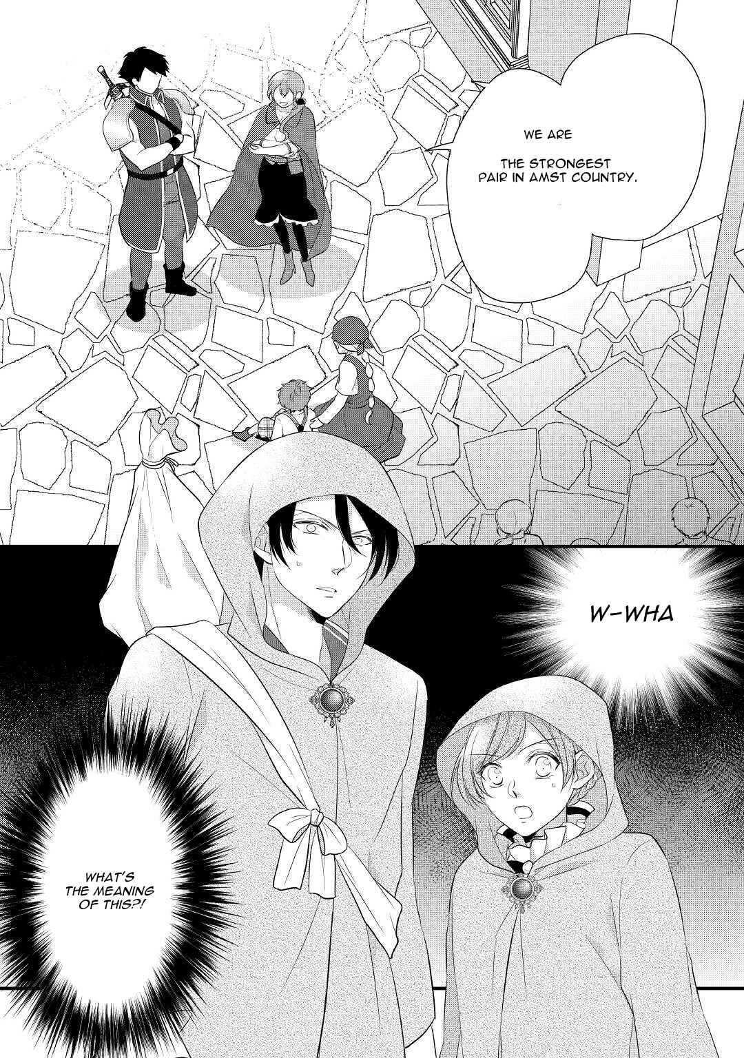 Page 27 Chapter 27 An E-Rank Apothecarist
