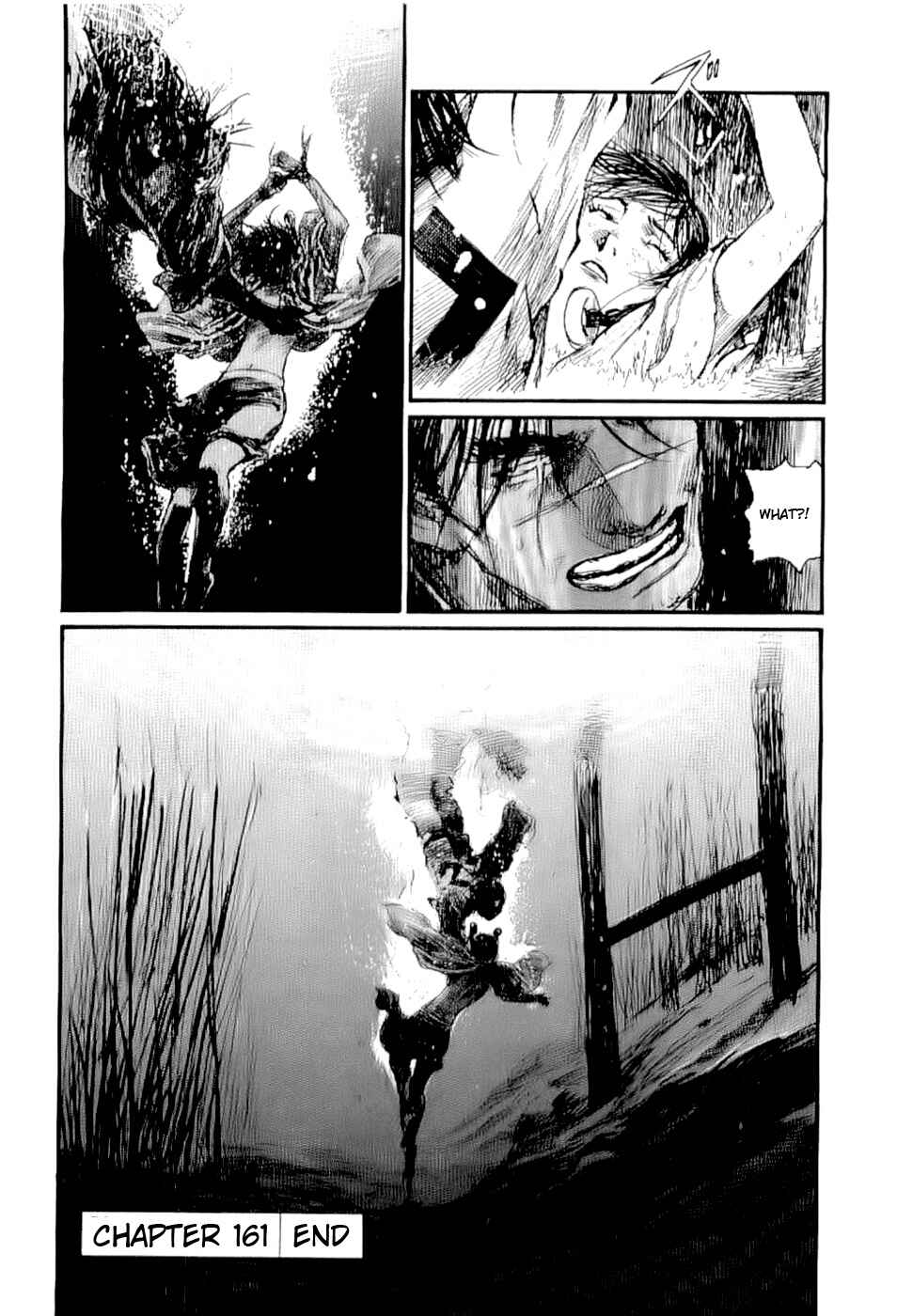 Page 29 Chapter 161 Blade of the Immortal
