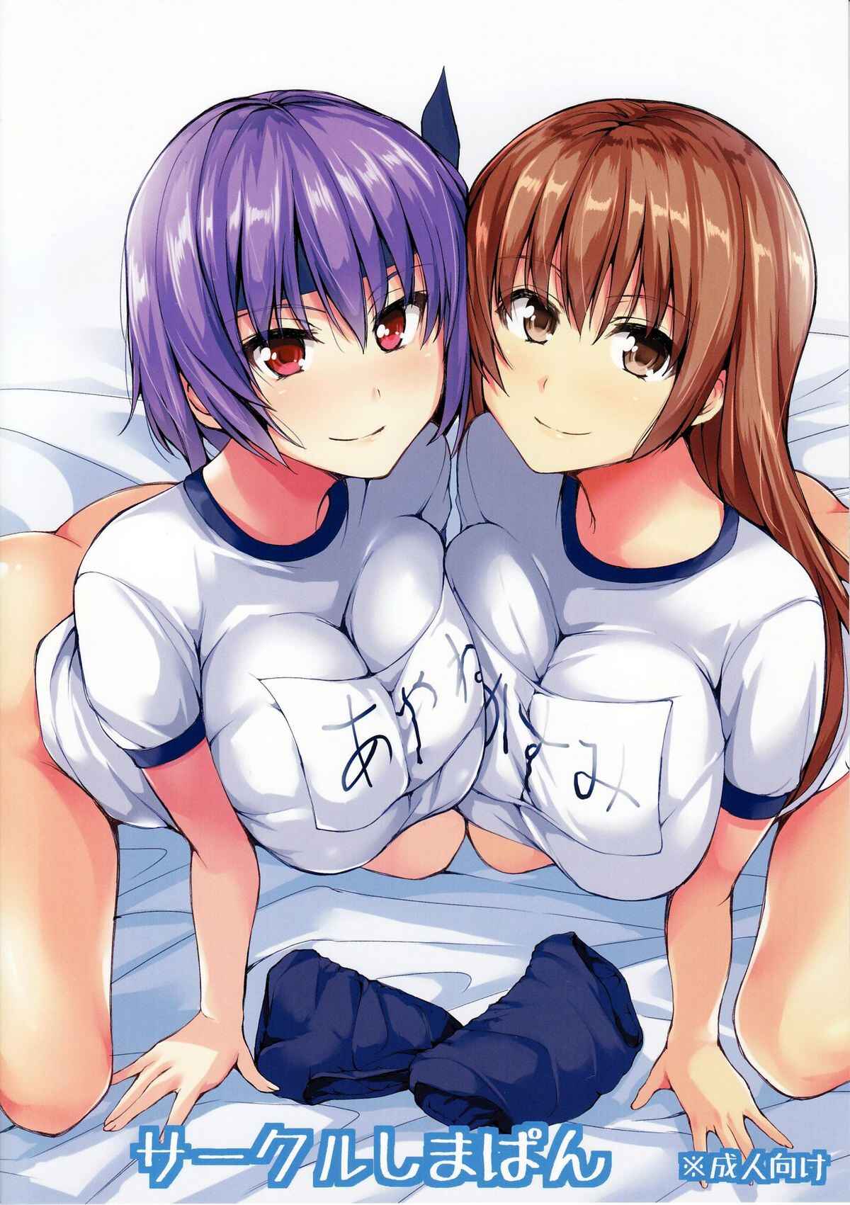 Page 21 Chapter 3 Dead or Alive - DOA Harem (Doujinshi)