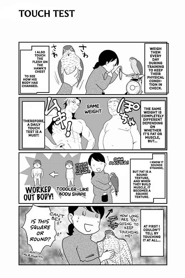 Page 2 Chapter 9 Hawk Master, Its Hunting Time!