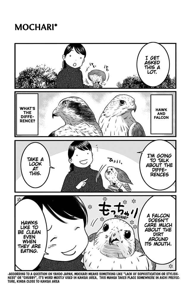 Page 3 Chapter 4 Hawk Master, Its Hunting Time!
