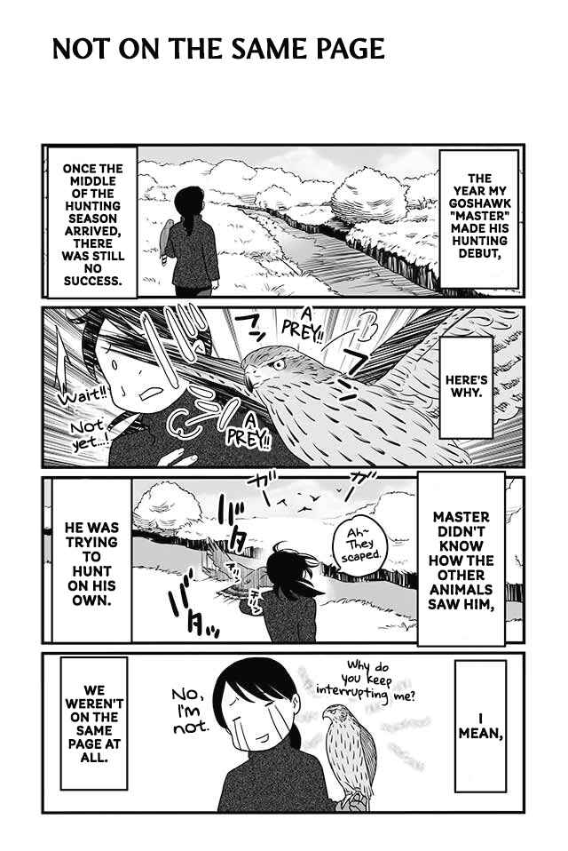 Page 1 Chapter 8 Hawk Master, Its Hunting Time!