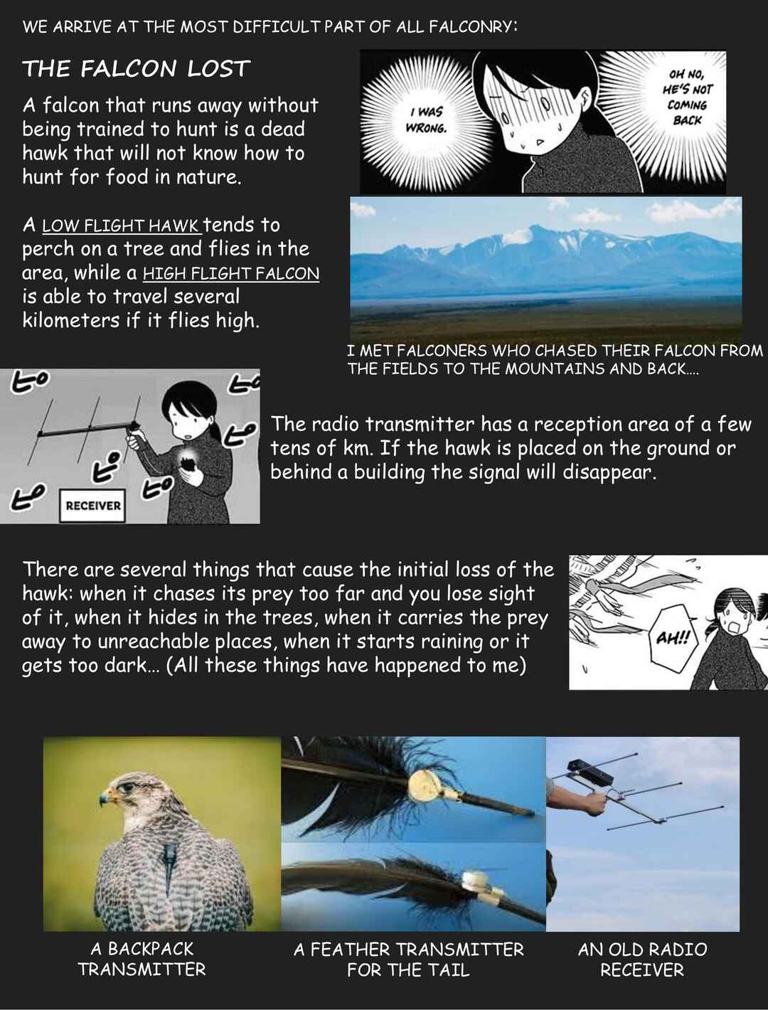 Page 13 Chapter 8 Hawk Master, Its Hunting Time!