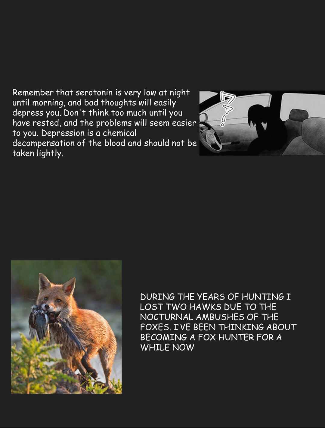 Page 15 Chapter 8 Hawk Master, Its Hunting Time!